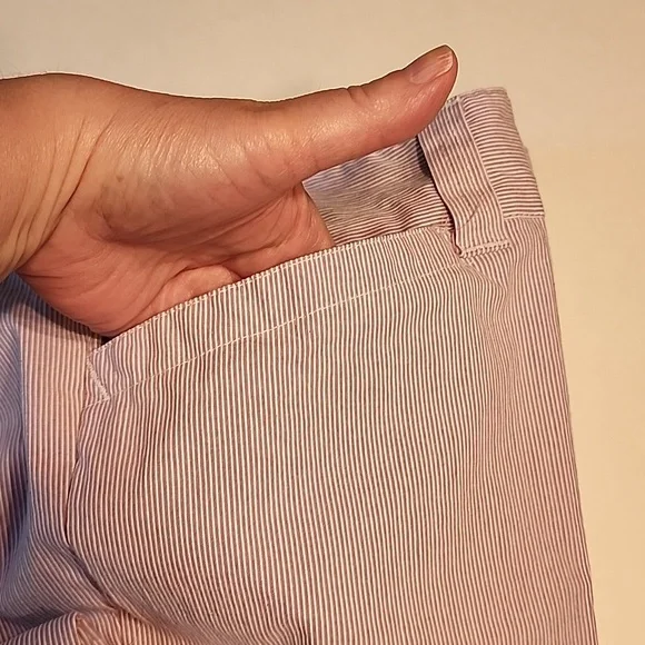 CHRISTOPHER & BANKS Lavender and White Pinstripe Ankle Pants Size 12 Petite - Picture 3 of 12